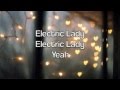 Miniature de la vidéo de la chanson Electric Lady