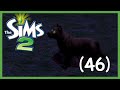 THE SIMS 2: ULTIMATE COLLECTION [46] - A Werewolf in town?