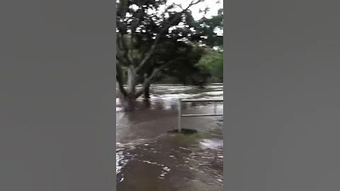 Audrey Weir in raging flood