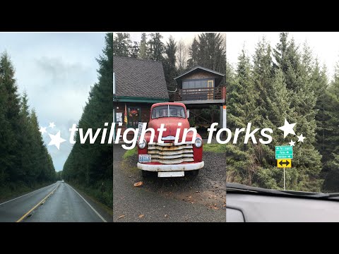 seeing everything *TWILIGHT* in forks!! | tifney