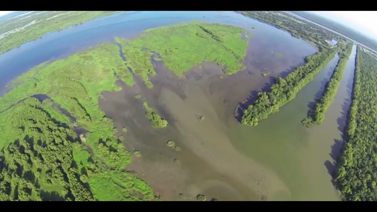 grassroots international Bayou Bonjour: Caernarvon Freshwater Diversion Builds Land in Coastal Louisiana