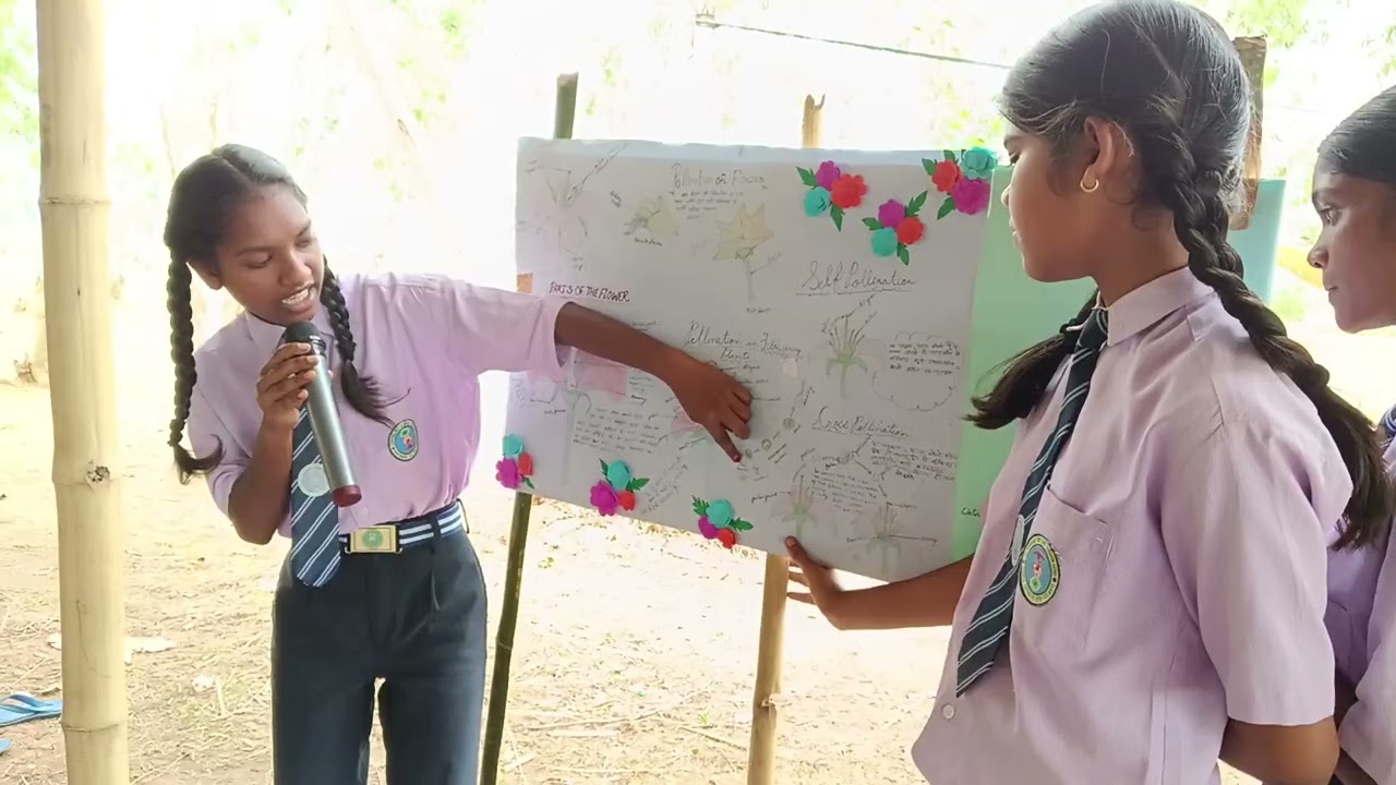 आईए समझते हैं साइंस को अपनी मातृभाषा ( कुड़ूख ) में 🌺 Pollination of flowers 🌺