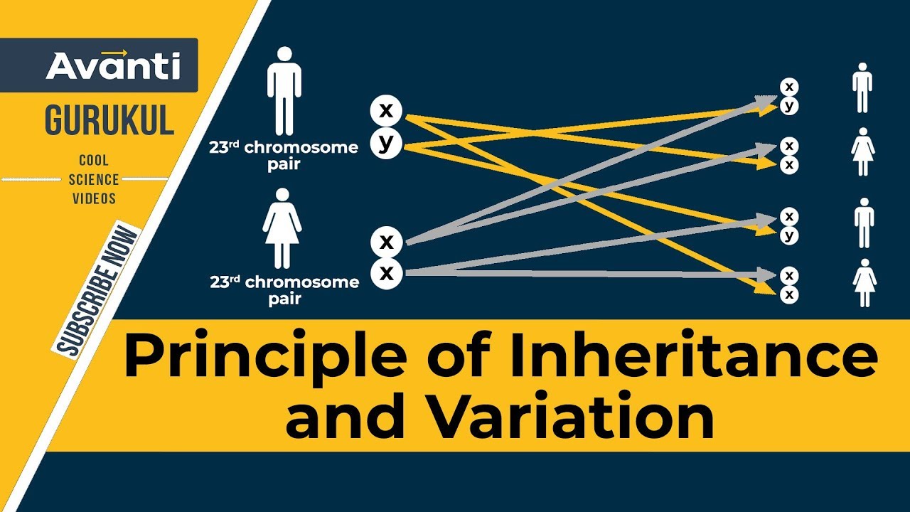 case study based questions principles of inheritance and variation