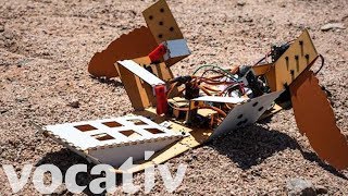 The $70 Sea Turtle A.I. Robot