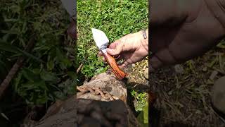 aceitado de maderas, granadillo estabilizado y tepemezquite.