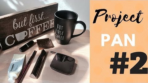 Rolling Project Pan//Update #2//2 weeks