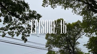 Training Log | Episode 16