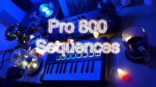 Behringer Pro 800 - Dual Sequencer Jam