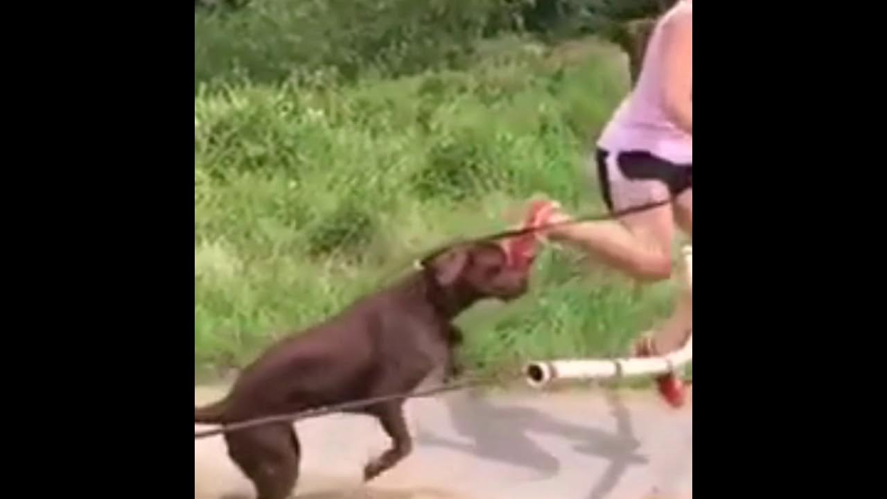 смешные ролики про женщин. ютуб приколы.