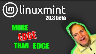 linux mint 20 3 una beta review