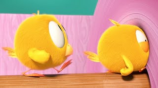 Chick & Roll | Where's Chicky? | Cartoon Collection In English For Kids | New Episodes