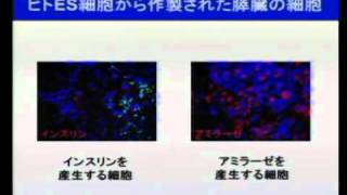 京都大学 CiRA一般の方対象シンポジウム「iPS細胞研究の最前線」長船 健二 准教授　2010年10月2日