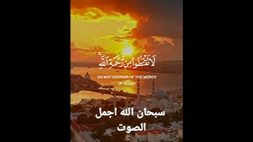 #تلاوات #تلاوة_خاشعة #تلاوة_مميزة #تلاوة_هادئة #بلال دربالی #طارق محمد #اسلام_صبحي #هزاع_البلوشي