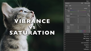 Vibrance vs Saturation Explained - What