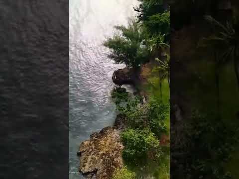 كان مين يصدق الصغير اللي علمته الكلام محمد محيى اغاني 