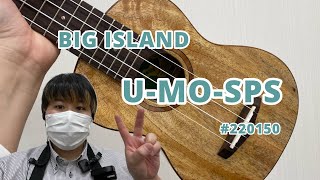 【試奏動画】BIG ISLAND 『U-MO-SPS#220150』【ソプラノ】