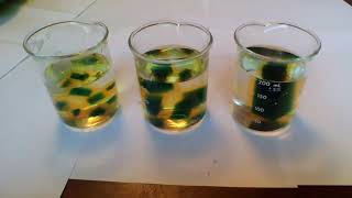 Cell Size Lab Demo