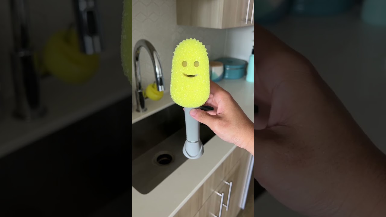 FINALLY got the Scrub Daddy dish wand 😀🧽  