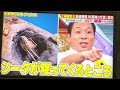 JKが部活で制作した鉄道模型ジオラマが凄すぎる