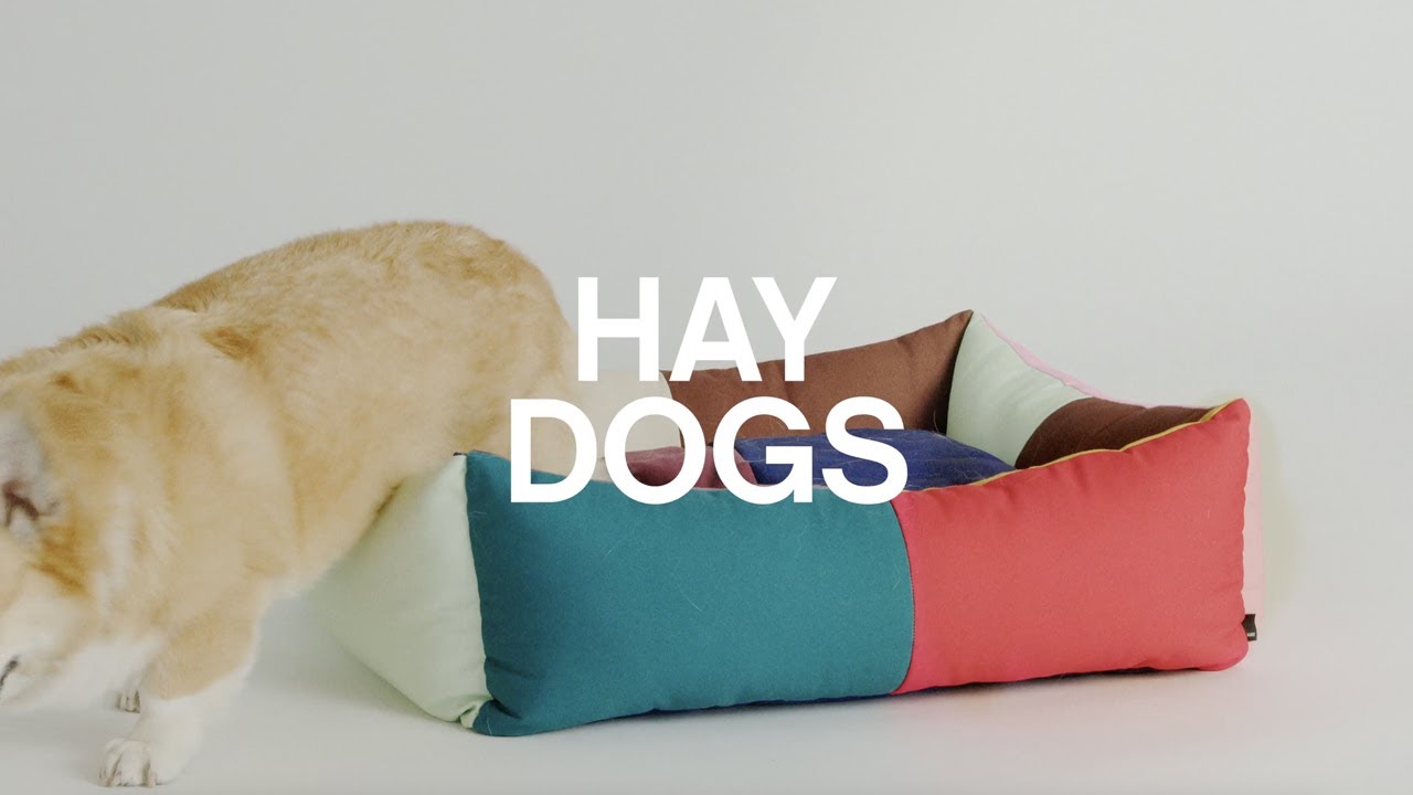 Discover the HAY Dogs Collection by Holly Golightly - YouTube