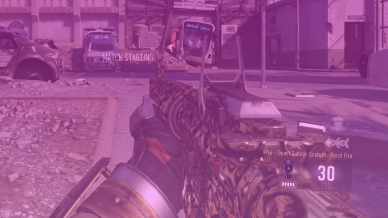 NEW "M16 ROYALTY" - AW GAMEPLAY