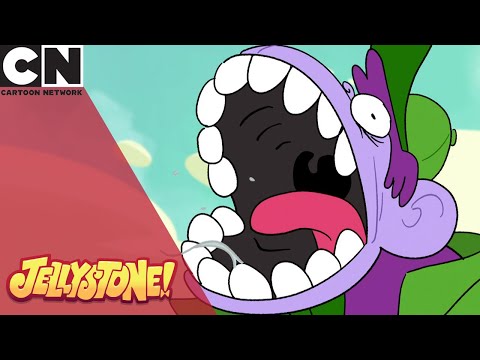 When Parenting Skills Are Put to Test Jellystone Cartoon Network UK