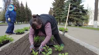 Новомосковск озеленяют и украшают цветами