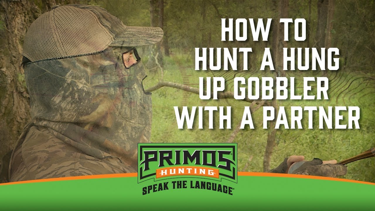 How to Hunt a Hung up Gobbler with a Partner