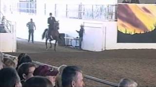 Afires Heir - 2010 Usef Horse Of Honor