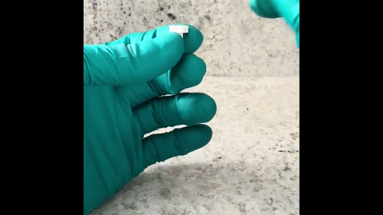 2nd gen Subaru Outback heated seat switch bulb