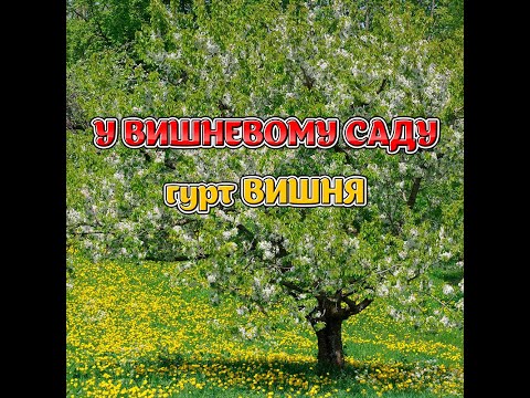 Ой у вишневому саду Ой у вишневому саду