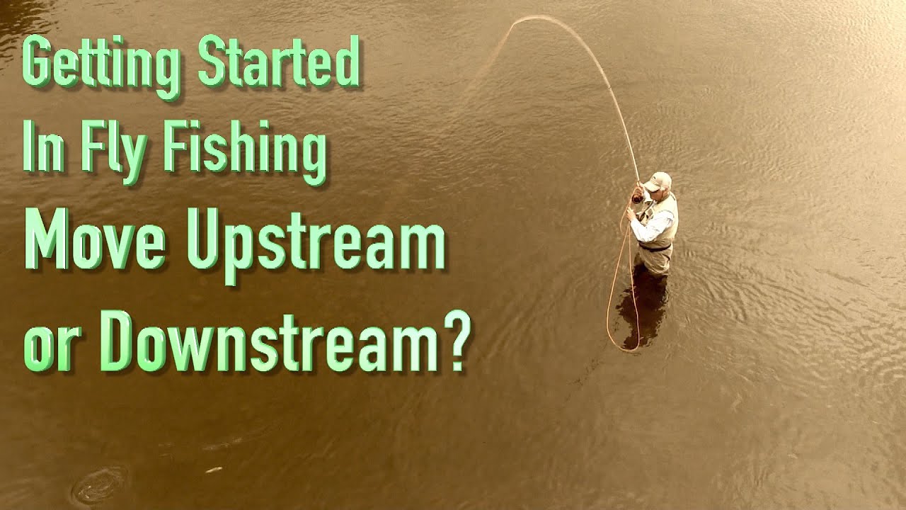 Should I Fish Upstream or Downstream?