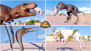 Goat Hunting Animations of All Dinosaurs & Flying Reptiles in San Marie 🦖 Jurassic World Evolution 2 screenshot 5