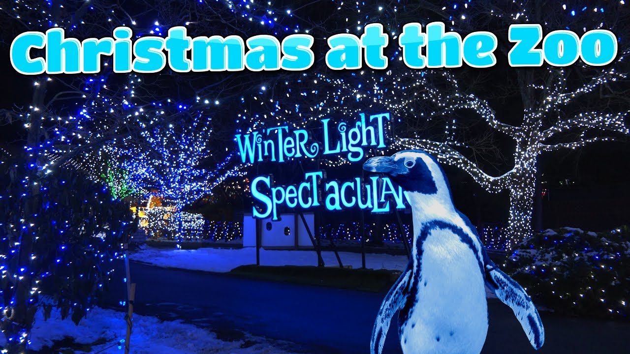 Christmas Lights at the Zoo - 1.2 Million Lights
