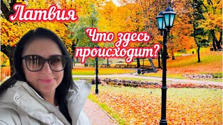 видео: Вы уже это видели? Даже туристы в шоке от этого // Рига // Латвия @VERONIKASLIFE  картинка: Вы уже это видели? Даже туристы в шоке от этого // Рига // Латвия @VERONIKASLIFE