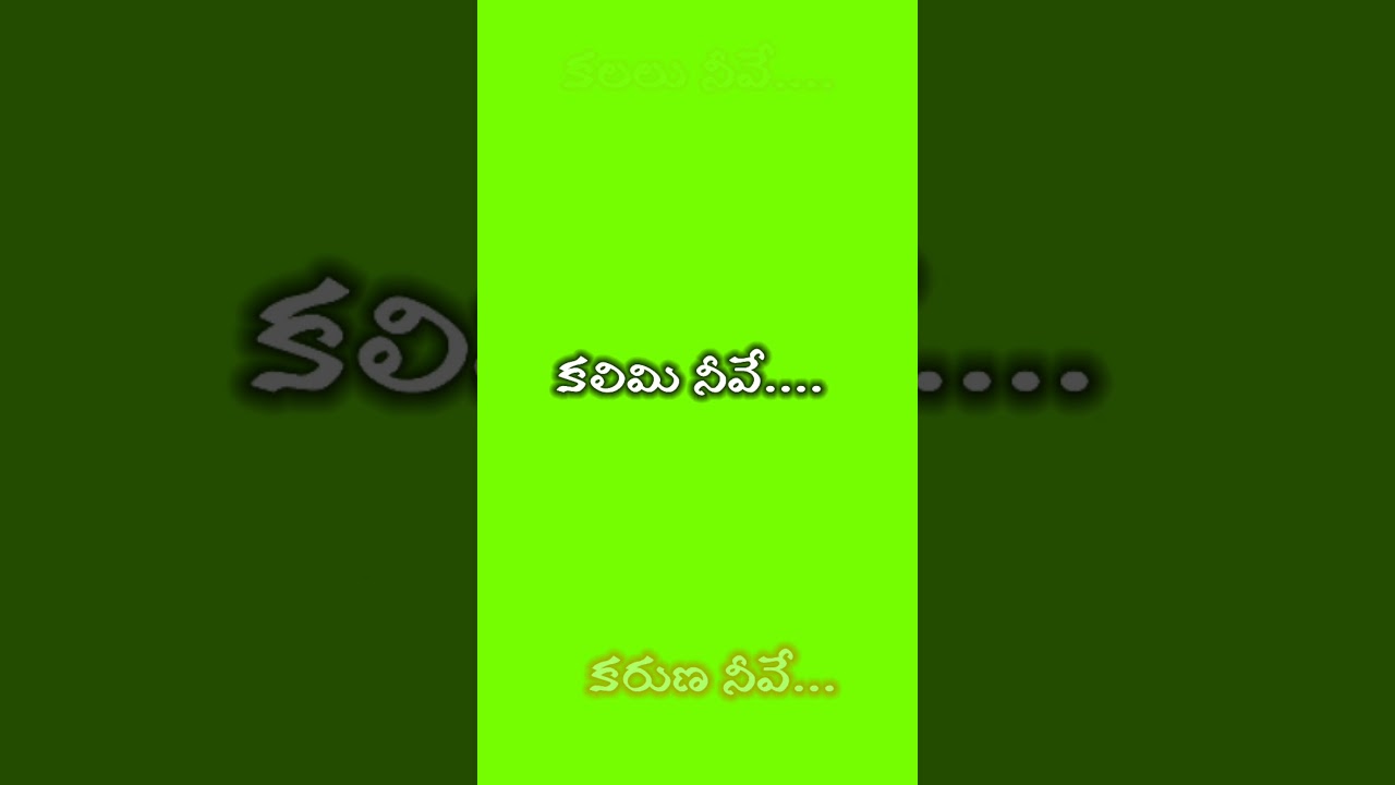 whatsapp creator whatsapp creator