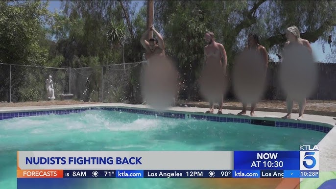 Hd porno katta mushuk