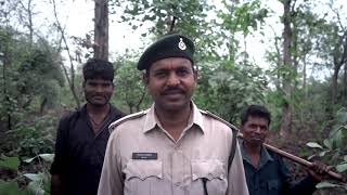 ON GUARD | Day in life of a forest guard | Documentary