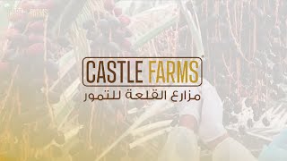 Kurma Ajwa Organik Premium 1 Kg Asli Madinah Castle Farms