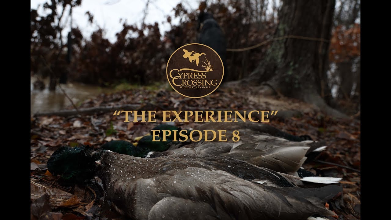 "The Experience" Episode Eight, Arkansas Duck Season at Cypress