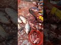 #live fish cutting competion  #fishcuttingdhaka