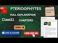 PTERIDOPHYTES|FULL EXPLANATION|CLASS11|CHAPTER3|COMPLETE NOTES 📝