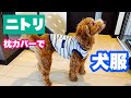 【犬服】ニトリの枕カバーで犬服作り