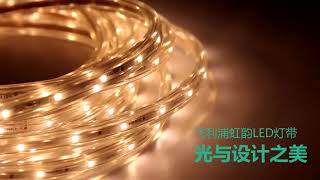 PHILIPS 31160 31161 31162 220V LED strip light 50m/roll screenshot 4