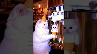 Billi wala icecream🍦#funny#cats #cartoon #billi#Billi wala video#bhoot#shortvideo #bhoot #bhootwala
