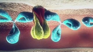 Seasonal flu vaccine