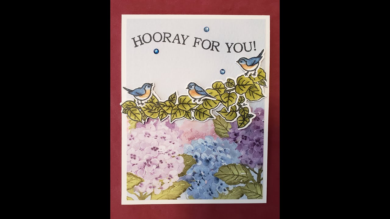 Stampin' Up! Hooray for You! and the Quite Curvy Bundle