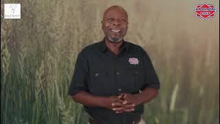 KARAN BEEF Academy - INTRODUCTION - Zulu