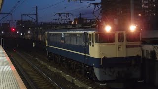 PF代走✨️【EF65-2097 単機回送（新鶴見→隅田川）】EF65形2000番代2097号機〔新〕（赤プレート）が単機で南千住駅を通過！〈単2072レ・臨A6125・単機〉2026.1.25