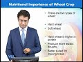 bt404  Food Biotechnology BT404 Topic No.039